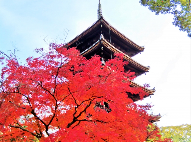 仁和寺の概要